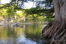 san antonio dog park