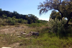 san antonio dog park