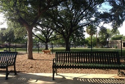 dog park in San Antonio