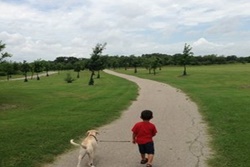 dog park in san antonio