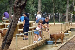 dog park san antonio