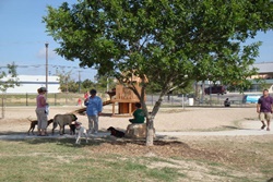 san antonio dog park